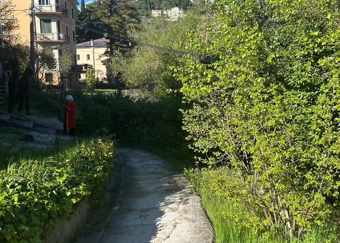 بيت ضيافة Maestro 3*