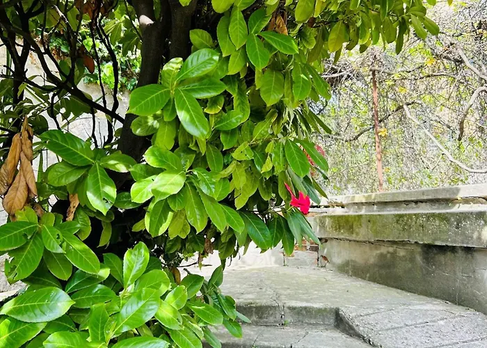 Maestro بيت ضيافة