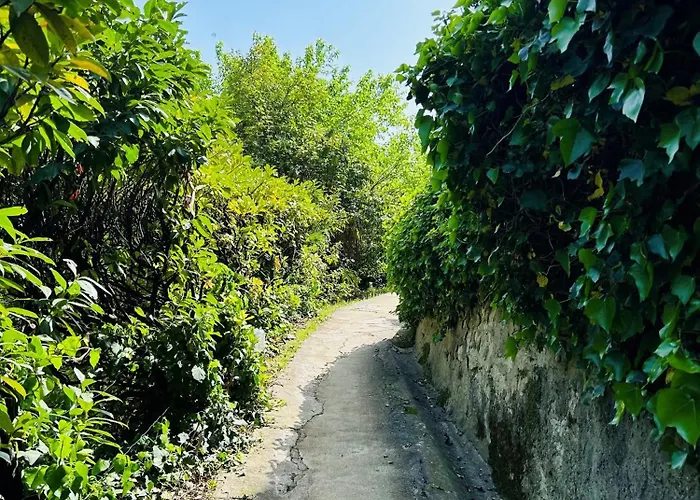 Maestro 3* فيرونا