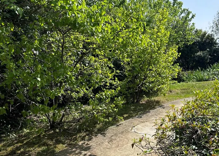 Maestro بيت ضيافة