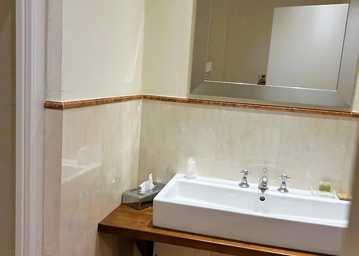 Maestro فيرونا